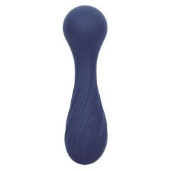 CALEXOTICS - MASAJEADOR CHARISMA TEMPTATION 12 FUNCIONES MORADO