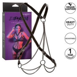 CALEXOTICS - ARNÉS...