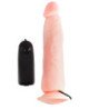 BAILE - CLON DE PENE REALISTA 22,3 CM