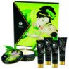 SHUNGA - KIT DE TÉ VERDE ORGÁNICO GEISHA SECRET