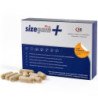 500 COSMÉTICOS - PASTILLAS SIZEGAIN PLUS PARA AGRANDAR EL PENE
