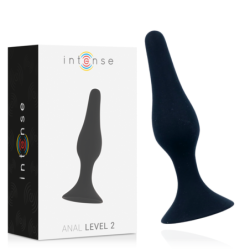 INTENSO - NIVEL ANAL 2 11,5...