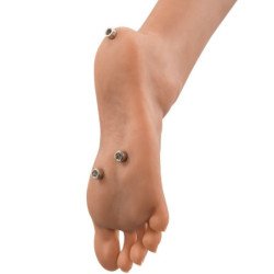 EXTREME TOYZ - PIPEDREAM DOLL MUÑECAS DE FANTASÍA DEFINITIVAS BIANCA 163 CM