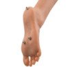 EXTREME TOYZ - PIPEDREAM DOLL MUÑECAS DE FANTASÍA DEFINITIVAS BIANCA 163 CM