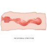 CRAZY BULL - JANE VAGINA MASTURBADORA 13,5 CM