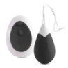 INTENSO - HUEVO VIBRATORIO JAN CON CONTROL REMOTO NEGRO
