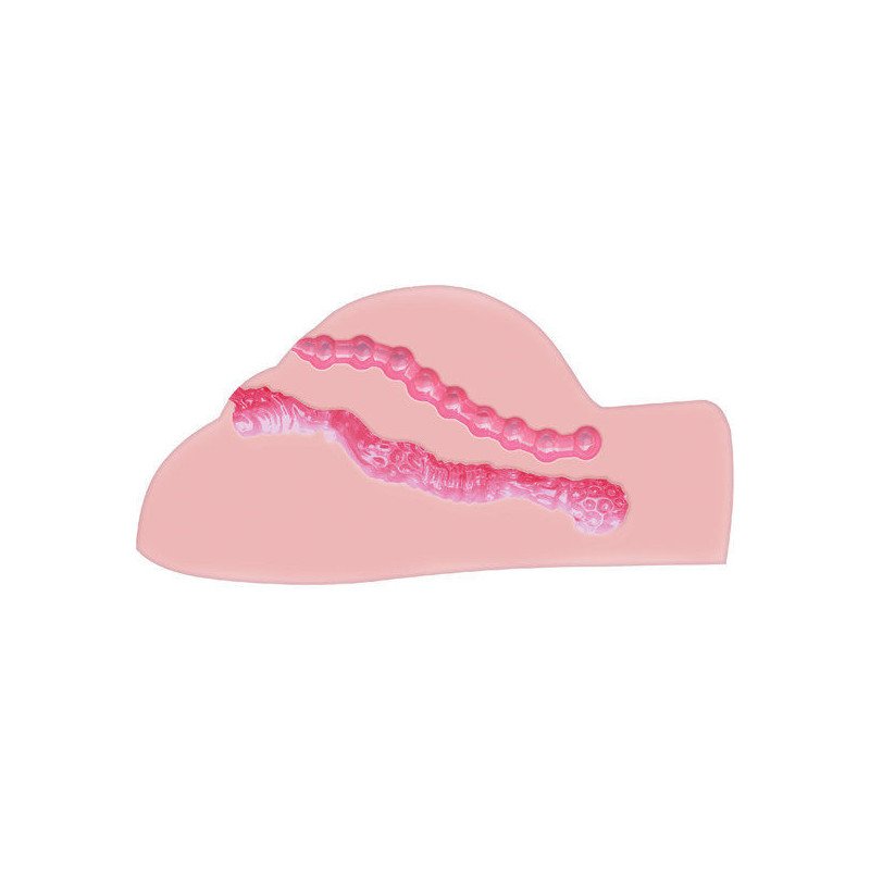ACTO - MASTURBADOR DE CULO GORDO CON VIBRADOR