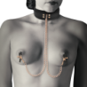 COQUETTE CHIC DESIRE - COLLAR CON PINZAS PARA PEZONES DE FANTASÍA CON FORRO DE NEOPRENO