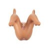 CALEXOTICS - BACK DOOR BABE LOVE DOLL