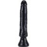 GET REAL - STARTER DONG 16 CM NEGRO