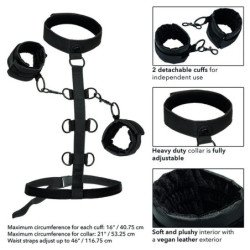 CALEXOTICS - SUJECIÓN CORPORAL SIN LÍMITES CON COLLAR