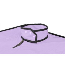 SECRET DOME - KINK CLUB LA NICHE CABINA  MORADO