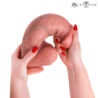MR INTENSE - EXTRABIG SPENCER DILDO SILICONA 28 CM -Ø- 7.3 CM