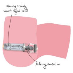 HIDDEN DESIRE - BIG ASS MILKING BITCH MASTURBADOR FEMENINO 16 KG