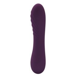 PRETTY LOVE - VIBRADOR RECARGABLE ALEXISROSE 10 FUNCIONES MORADO