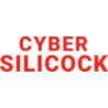 CYBER
